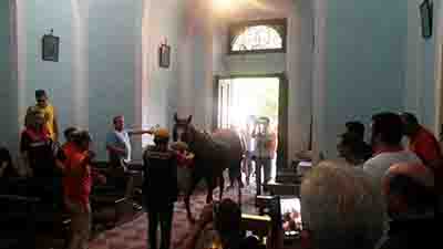 PALIO DELLE QUERCIGLIOLE, VINCE SAN ROCCO