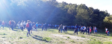 scout prato