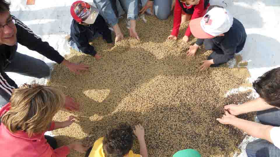 AGRICOLTURA SOCIALE, SE NE PARLA AL PARCO DELLA MAJELLA