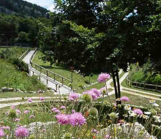 CAPRACOTTA, MAPPATURA DEI SENTIERI- CI PENSANO GLI STUDENTI