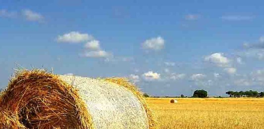 Agricoltura