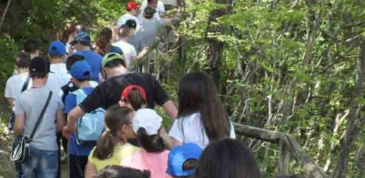 WWF MOLISE