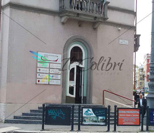 camera di commercio