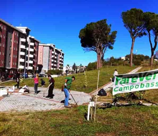 #Ecologicamente, un pomeriggio ecologico a Campobasso #Ecologicamente, un pomeriggio ecologico a Campobasso
