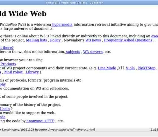 Nozze d’argento per il sito web, 25 anni fa il primo