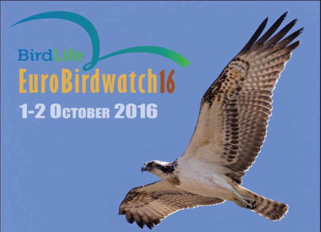 Occhi in su con EuroBirdwatch 2016 sul lago di Guardialfiera