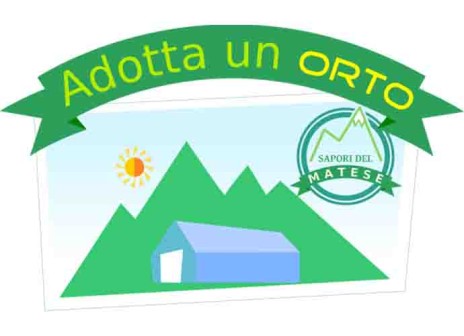 Adotta un orto, così sai quello che mangi