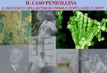 il-caso-penicillina-storia-di-una-scoperta-controversa-allunimol