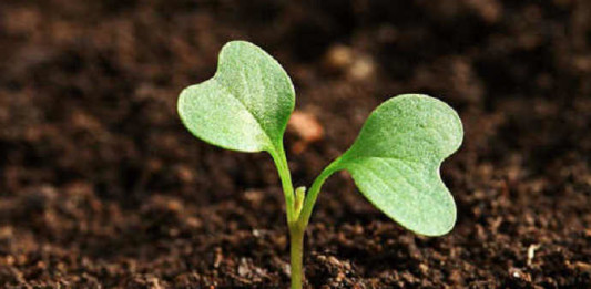 Agricoltura