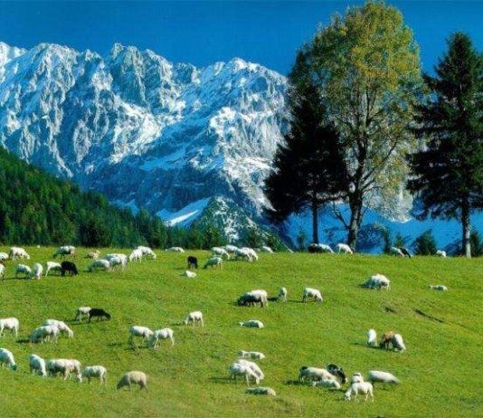 primavera in Molise