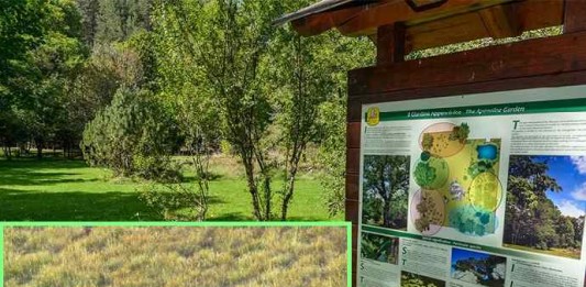 Cercando l’orso e il camoscio, via alle passeggiate al Parco nazionale Parco Nazionale Abruzzo evid