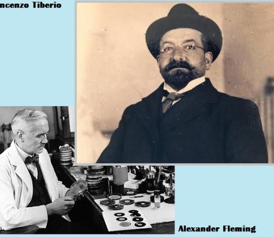 Vincenzo Tiberio invenzione penicillina