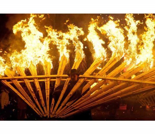 Pavone di fuoco - Ph. Giancarlo Bomba