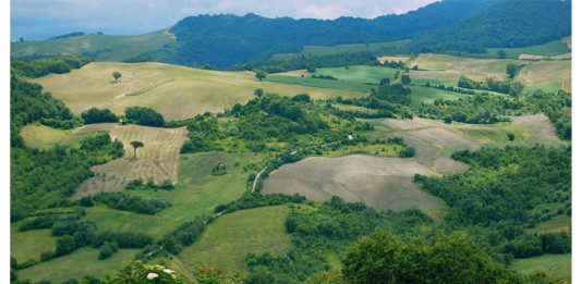 Le aree interne si spopolano. Che fare? Se ne parla a Larino molise