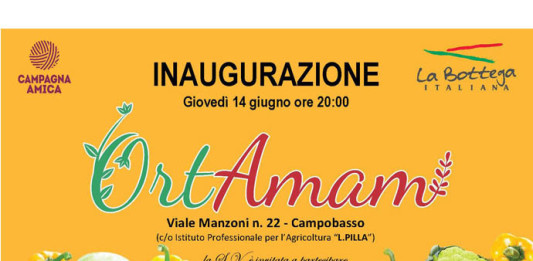 ortamami