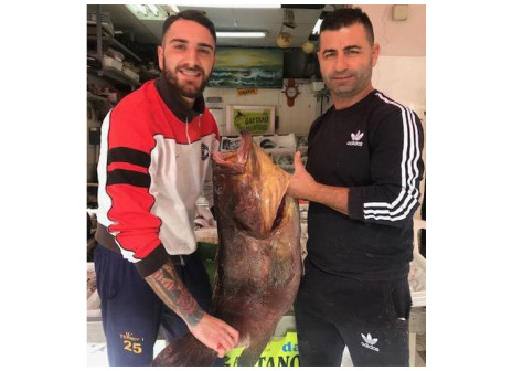 cernia record