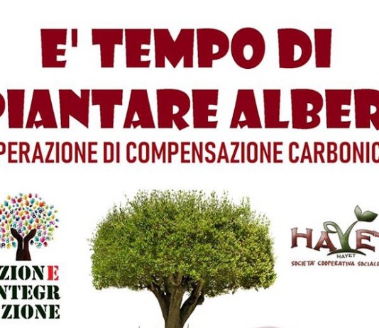 “È tempo di piantare alberi”, l’iniziativa di Fare Verde e Hayet È tempo di piantare alberi - Fare Verde e Hayet