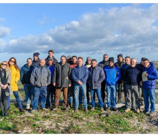 gruppo potatura