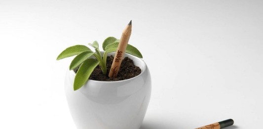Sprout, la matita che diventa una pianta