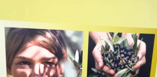 bee free evid