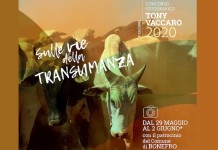 concorso tony vaccaro 2020 evid