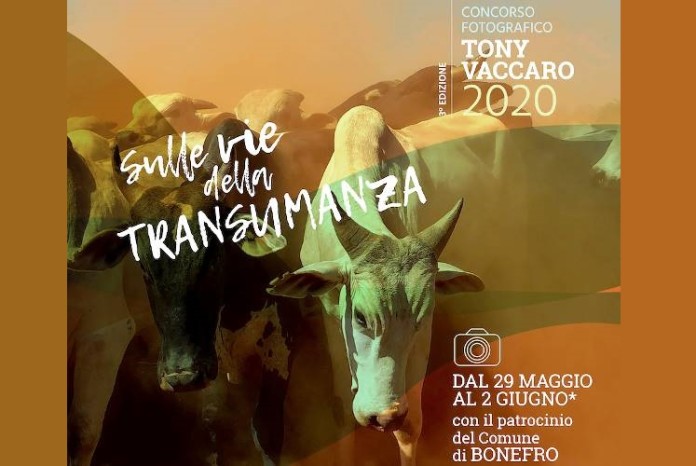 concorso tony vaccaro 2020 evid