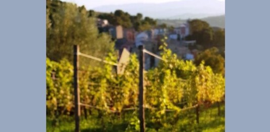 patata di san biase evid