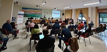 platea poletti