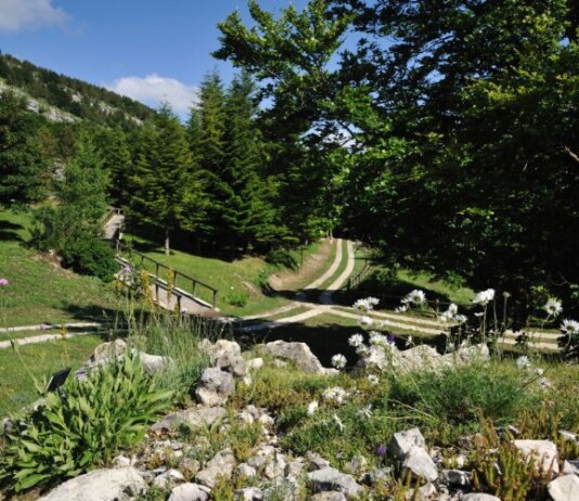 Natura senza Barriere, l’accessibilità protagonista di un incontro a Capracotta